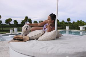 pool lounger with pooch